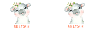 HMSMG040