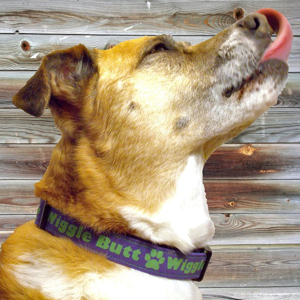 Custom Dog Collars